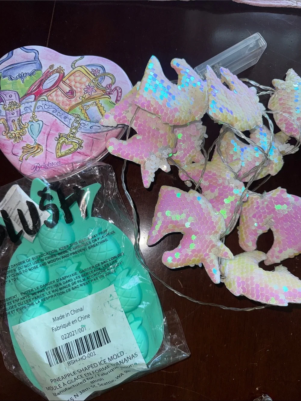 Brighton Pink heart box, Sequin unicorn String Lights and Aqua Pineapple Moldset
